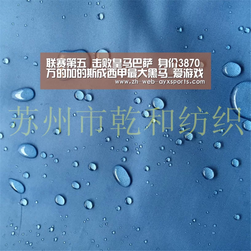 联赛第五 击败皇马巴萨 身价3870万的加的斯成西甲最大黑马_爱游戏(图2) 爱游戏app