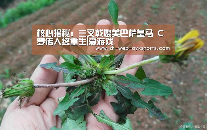 核心揭秘:三叉戟媲美巴萨皇马 C罗传人终重生|爱游戏(图3) 爱游戏官方入口